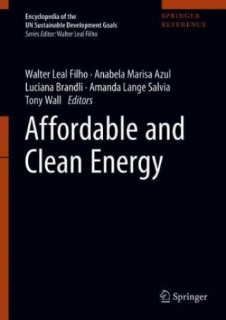 Kniha Affordable and Clean Energy Walter Leal Filho