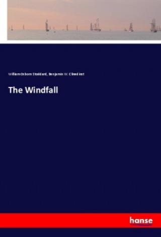 Book The Windfall William Osborn Stoddard