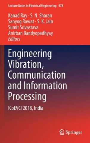 Könyv Engineering Vibration, Communication and Information Processing Anirban Bandyopadhyay