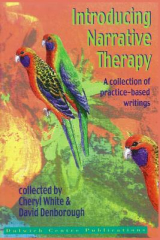 Carte Introducing Narrative Therapy: A collection of practice-based writing Cheryl White
