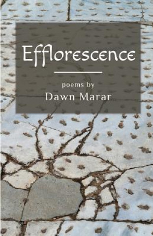 Könyv Efflorescence Dawn Marar