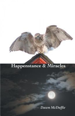 Kniha Happenstance and Miracles Dawn McDuffie