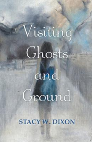 Knjiga Visiting Ghosts and Ground Stacy W Dixon