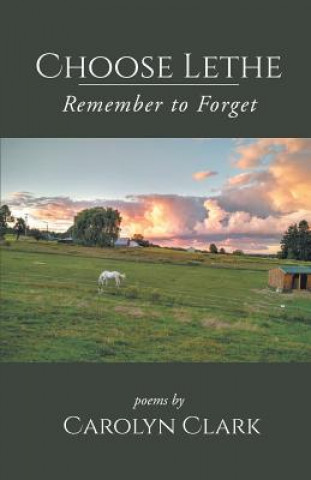 Książka Choose Lethe: Remember to Forget Carolyn Clark