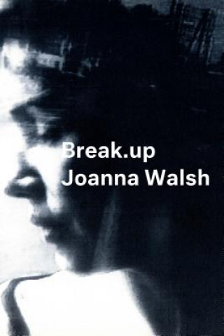 Kniha Break.up - A Novel in Essays Joanna Walsh