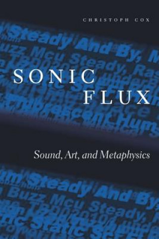 Könyv Sonic Flux Christoph Cox