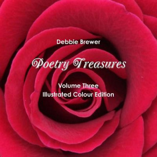 Kniha Poetry Treasures - Volume Three Debbie Brewer