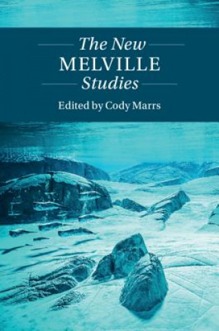 Książka New Melville Studies EDITED BY CODY MARRS