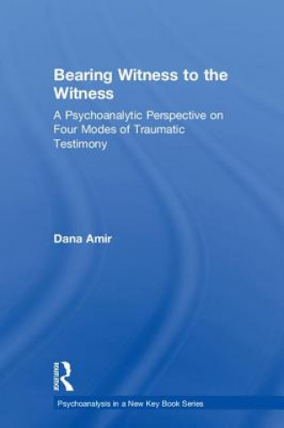 Könyv Bearing Witness to the Witness Amir