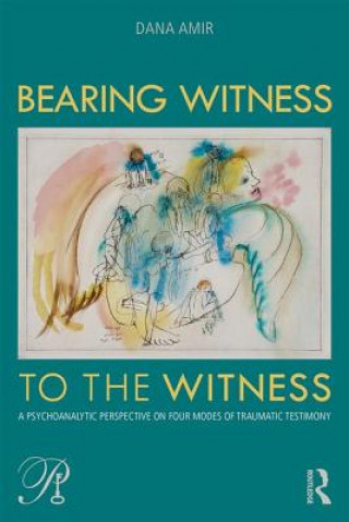 Kniha Bearing Witness to the Witness Amir