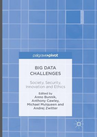 Könyv Big Data Challenges ANNO BUNNIK
