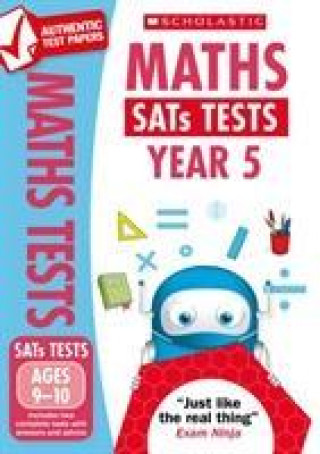 Könyv Maths Test - Year 5 Paul Hollin