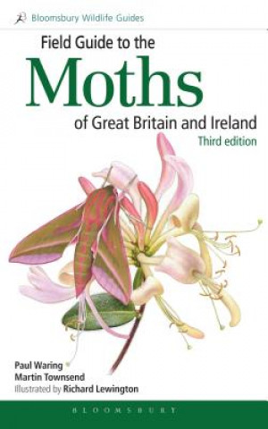 Kniha Field Guide to the Moths of Great Britain and Ireland WARING PAUL