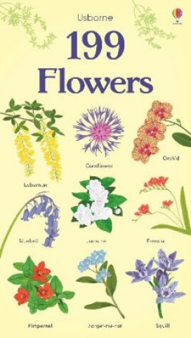 Könyv 199 Flowers HANNAH WATSON