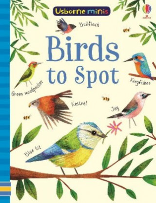 Kniha Birds to Spot Sam Smith