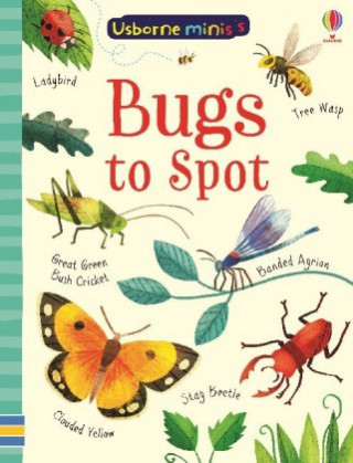 Kniha Bugs to Spot SAM SMITH