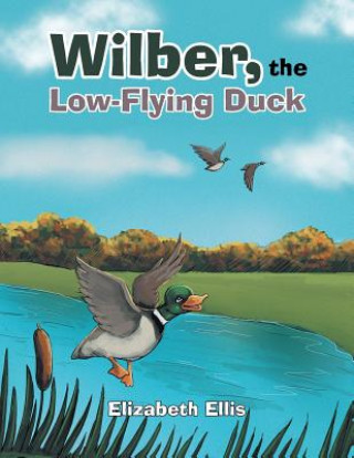 Buch Wilber, the Low-Flying Duck Elizabeth Ellis