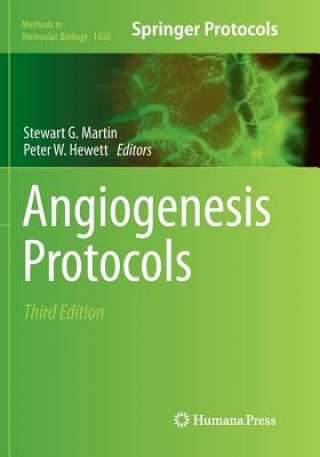 Kniha Angiogenesis Protocols STEWART G. MARTIN