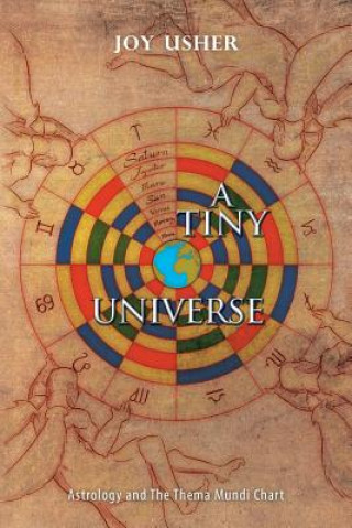 Kniha Tiny Universe Joy Usher