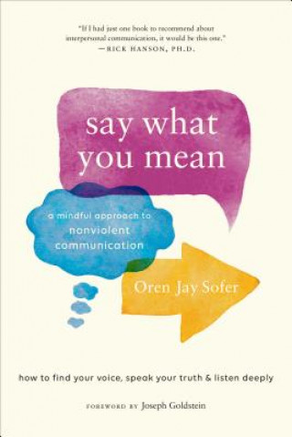 Knjiga Say What You Mean Oren J. Sofer