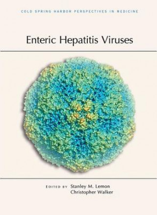 Kniha Enteric Hepatitis Viruses 