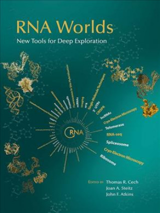 Book RNA Worlds: New Tools for Deep Exploration Thomas R (Howard Hughes Medical Institute University of Colorado Boulder) Cech