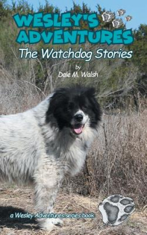 Kniha Wesley's Adventures DALE M. WALSH