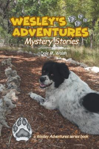 Kniha Wesley's Adventures Dale M Walsh