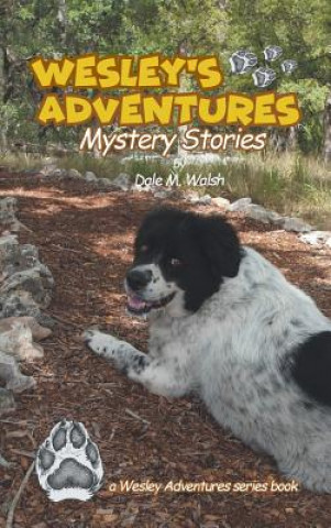 Kniha Wesley's Adventures Dale M Walsh