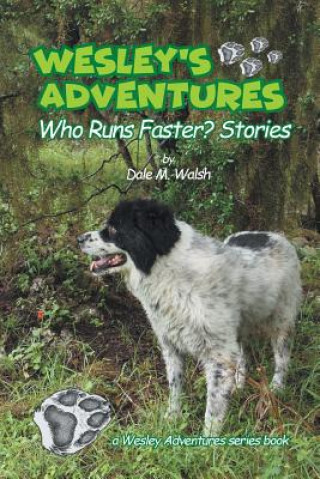 Kniha Wesley's Adventures Dale M Walsh