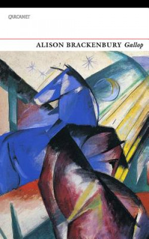 Boek Gallop Alison Brackenbury