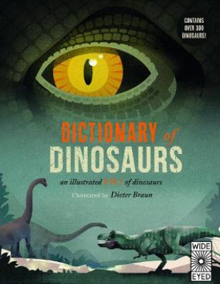 Kniha Dictionary of Dinosaurs Dieter Braun