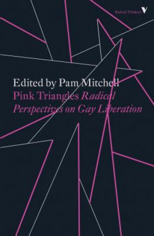 Książka Pink Triangles Pam Mitchell