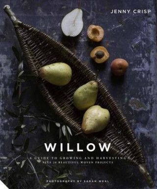 Książka Willow Jenny Crisp