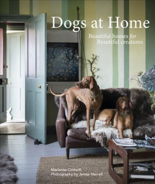 Knjiga Dogs at Home Marianne Cotterill