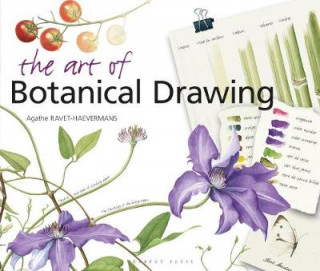 Kniha Art of Botanical Drawing Agathe Ravet-Haevermans