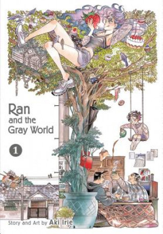 Kniha Ran and the Gray World, Vol. 1 Aki Irie