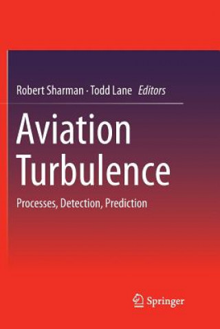 Buch Aviation Turbulence Todd Lane