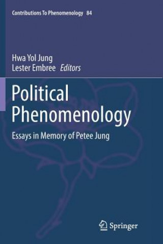 Książka Political Phenomenology Lester Embree