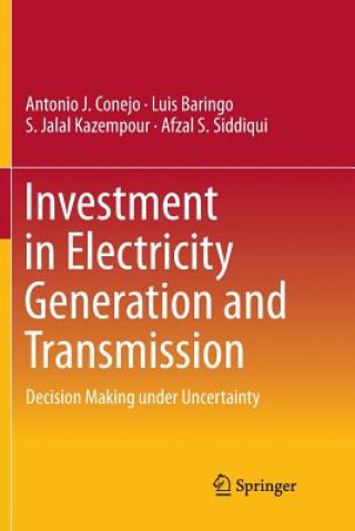 Knjiga Investment in Electricity Generation and Transmission Antonio J (University Castilla- La Mancha Ciudad-Real Spain) Conejo