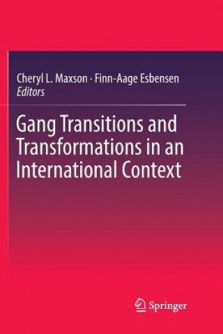 Книга Gang Transitions and Transformations in an International Context Finn-Aage Esbensen