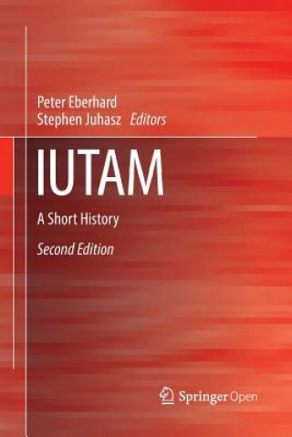 Libro IUTAM Peter Eberhard