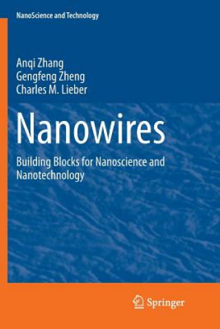 Kniha Nanowires Anqi Zhang