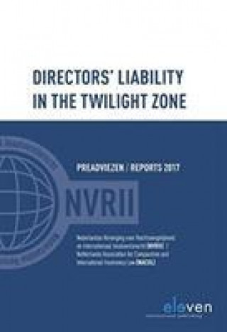 Kniha Directors Liability in the Twilight Zone 