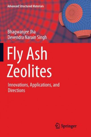 Książka Fly Ash Zeolites Bhagwanjee Jha