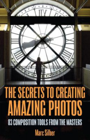 Kniha Secrets to Amazing Photo Composition Marc Silber