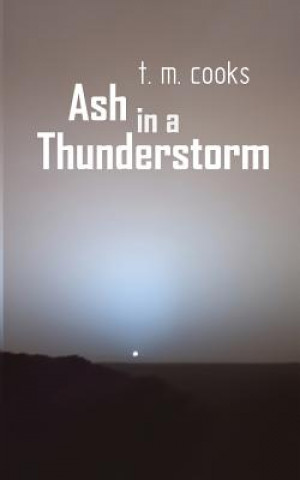 Livro Ash in a Thunderstorm T M Cooks
