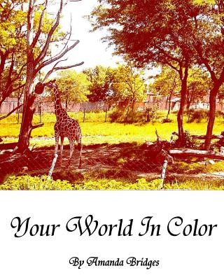 Könyv Your World In Color Amanda R Bridges
