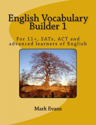 Kniha English Vocabulary Builder 1 Mark Evans