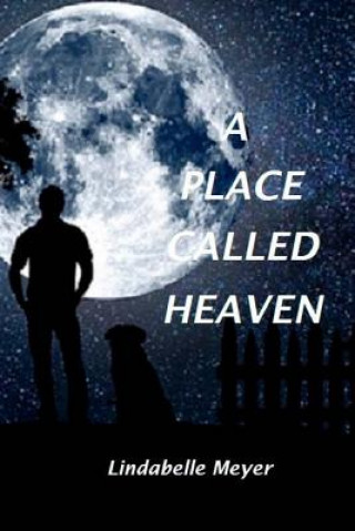 Buch A Place Called Heaven Lindabelle Meyer
